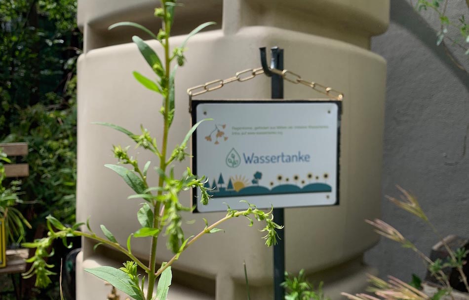 Ressourcen schonen und Kosten senken: kluges Wassermanagement im Unternehmen – von Sarah Nock, Umwelt und Kulturort Nirgendwo