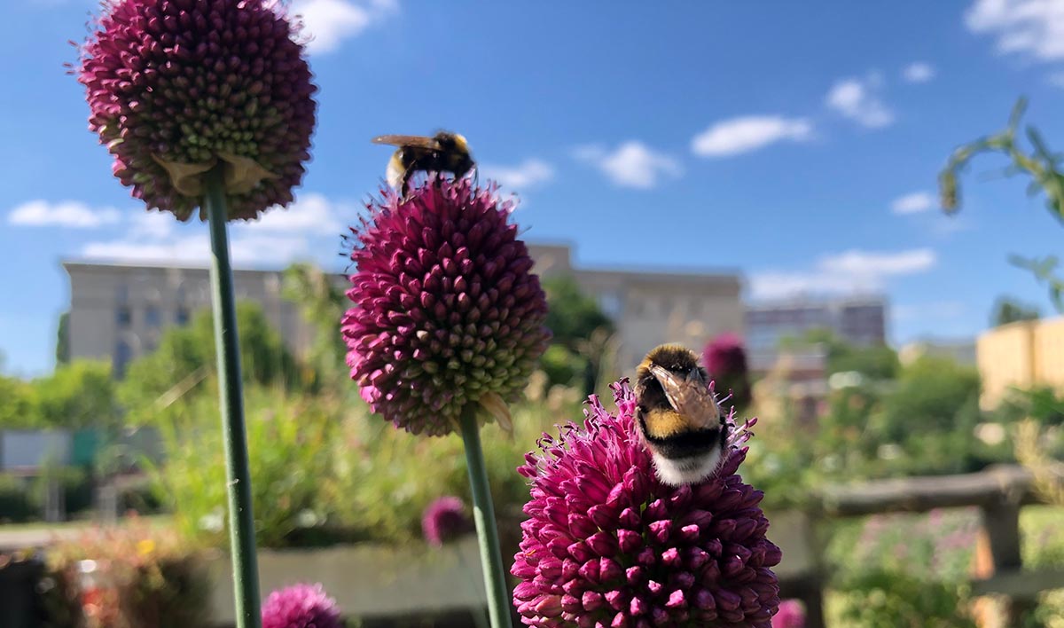 Nachhaltigkeitsstrategie für KMU: In 6 Schritten zur eigenen Strategie