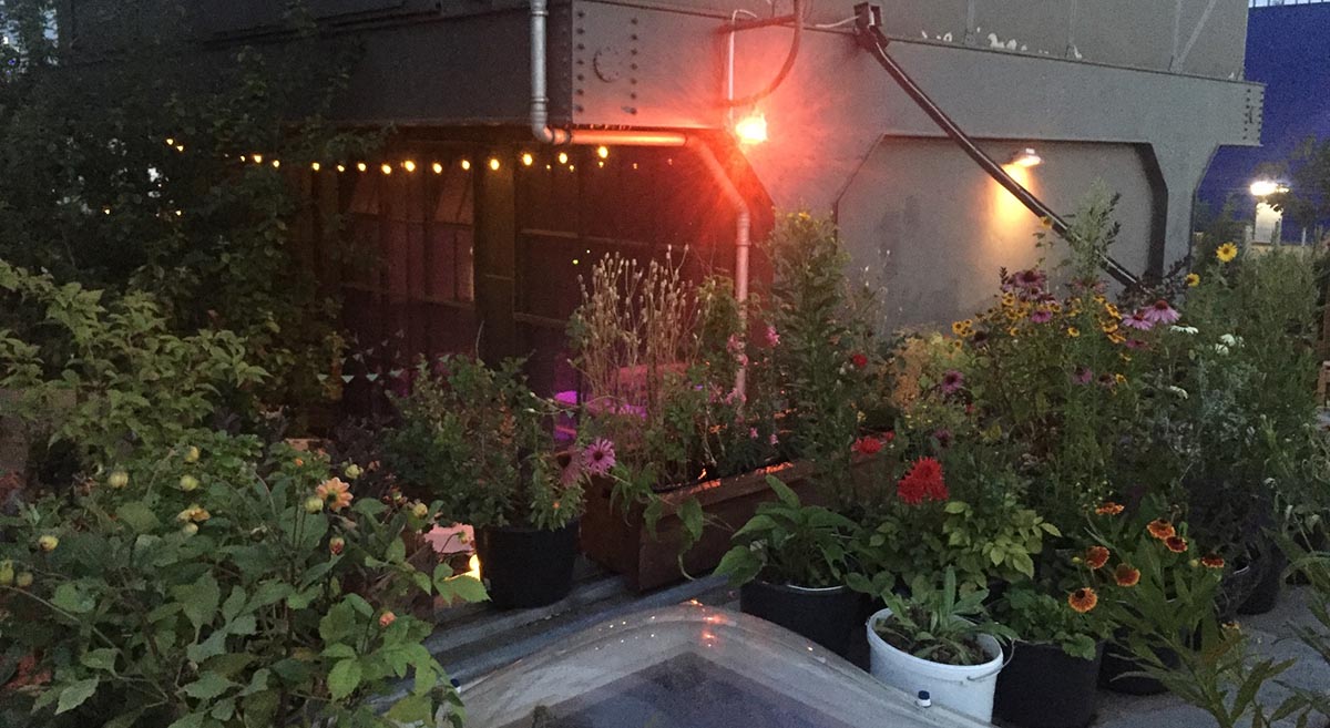 Mit optimierter Außenbeleuchtung Biodiversität schützen und Kosten sparen