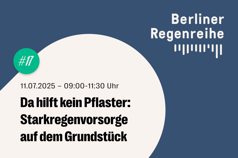 Weiterbildung: Starkregenvorsorge auf dem Grundstück